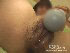 ����ץ����2