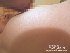 ����ץ����2