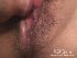 ����ץ����1