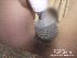 ����ץ����2